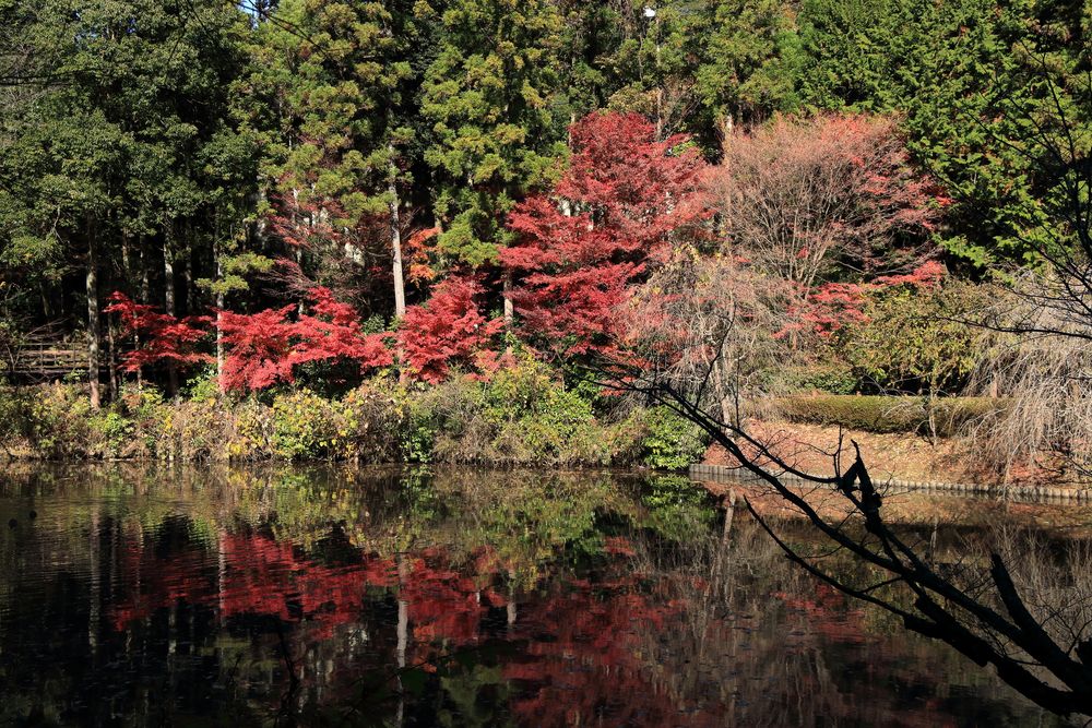 西山御殿（西山荘）の画像 - 3枚目
