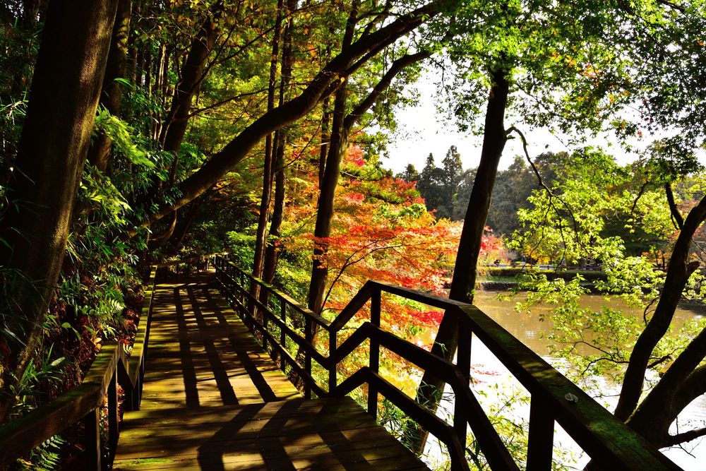 西山御殿（西山荘）の画像 - 4枚目
