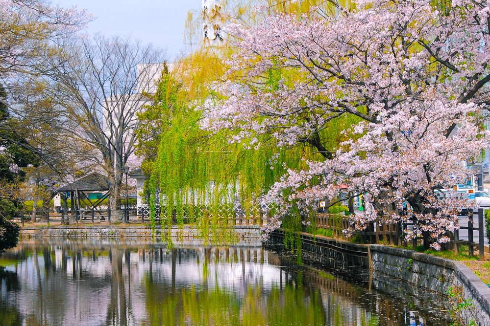 土浦城跡の画像 - 5枚目