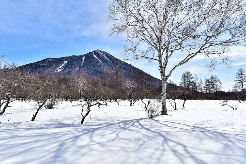 戦場ヶ原の画像 - 2枚目