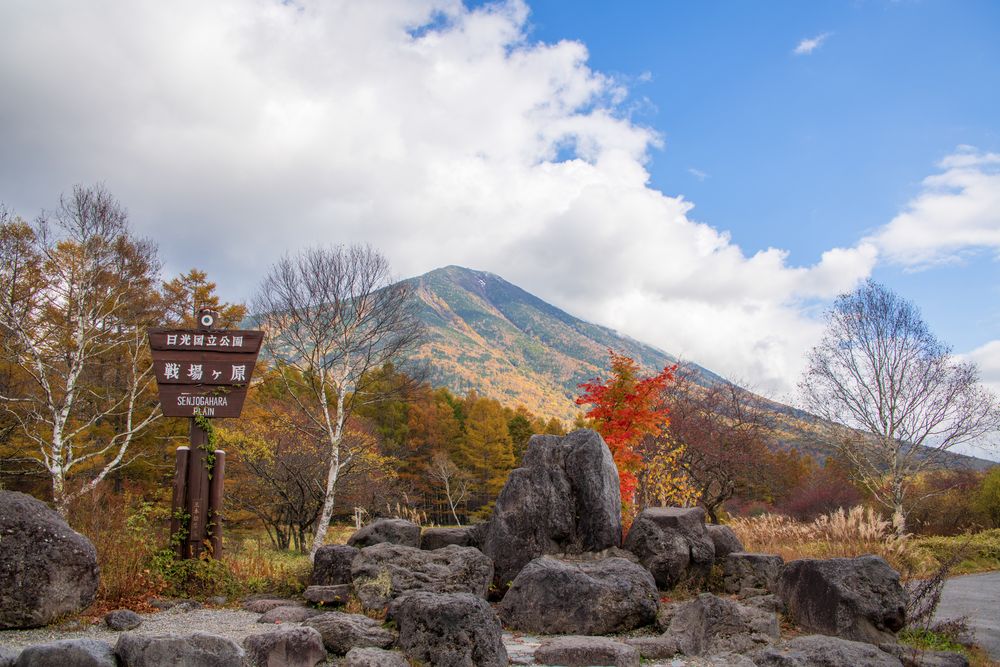 戦場ヶ原 戦場ヶ原】の周辺スポット・アクセス・口コミ - Prism Japan