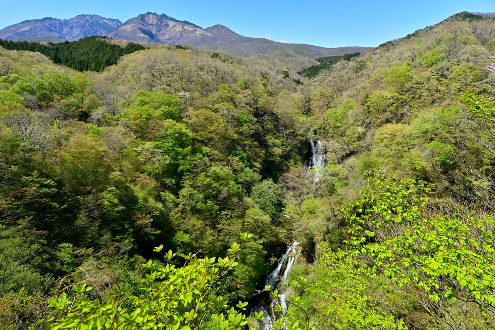 霧降の滝の画像 - 5枚目