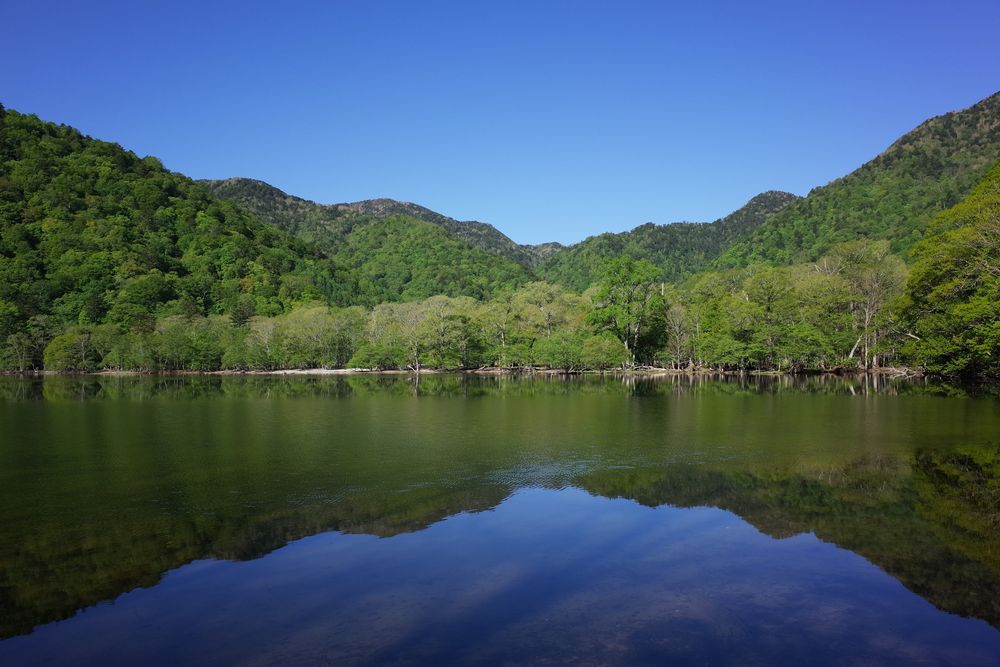 西ノ湖の画像 - 2枚目