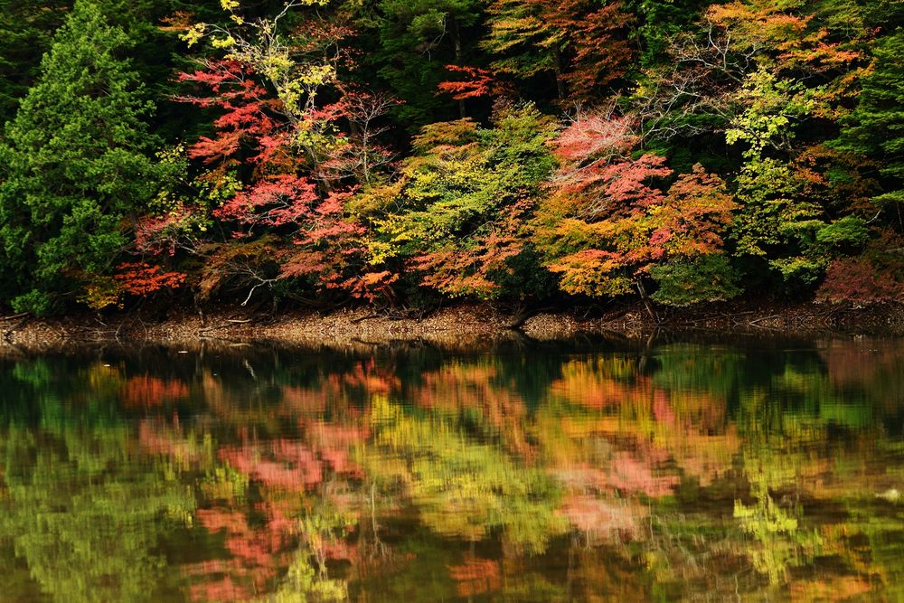 西ノ湖の画像 - 5枚目