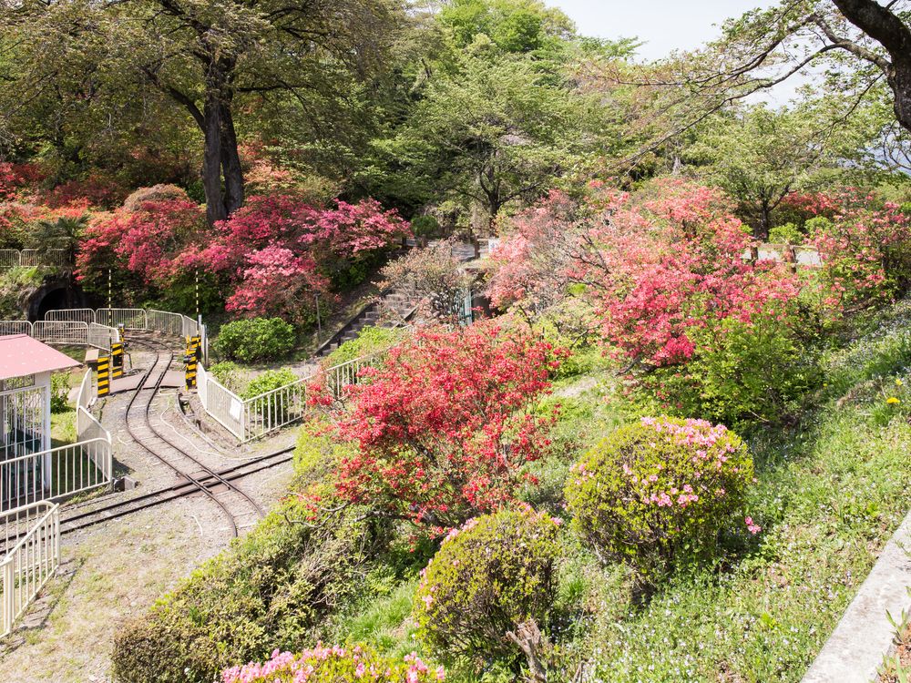 千手山公園