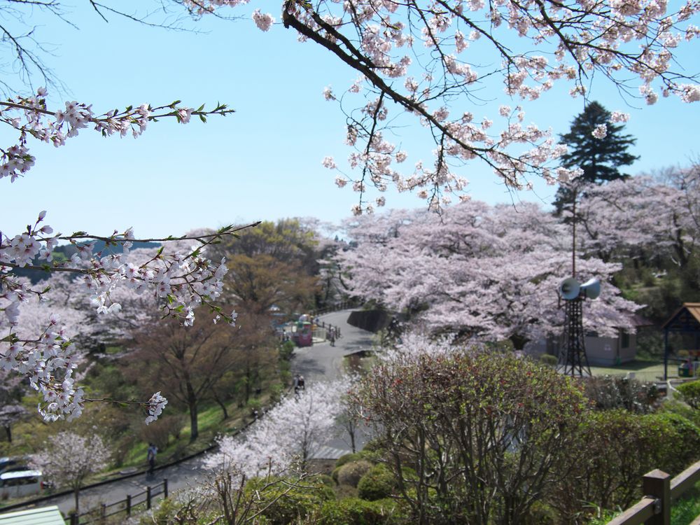 千手山公園の画像 - 5枚目