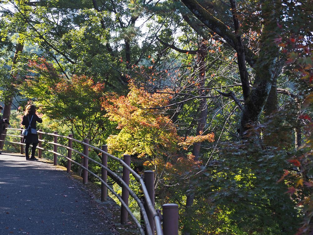 織姫公園の画像 - 4枚目