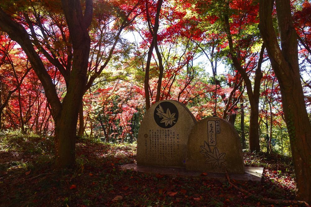 織姫公園の画像 - 6枚目