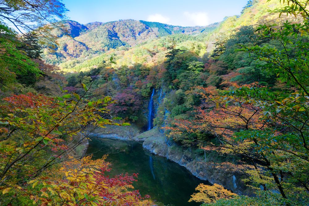 回顧の吊り橋の画像 - 3枚目