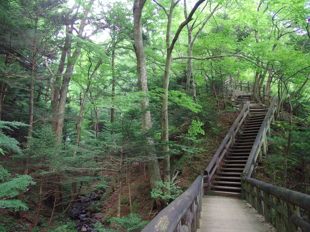 回顧の吊り橋の画像 - 4枚目