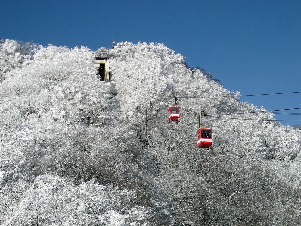 明智平ロープウェイの画像 - 2枚目