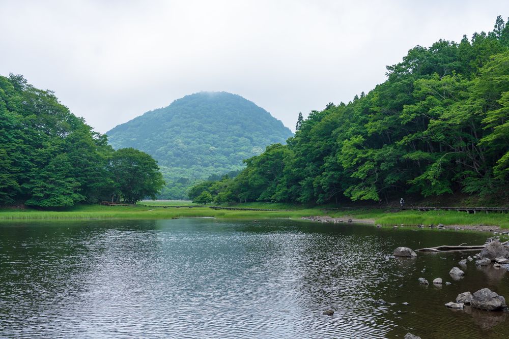 大沼の画像 - 2枚目