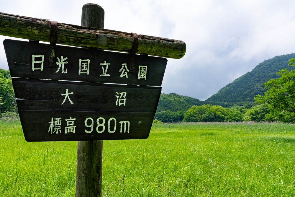 大沼の画像 - 3枚目