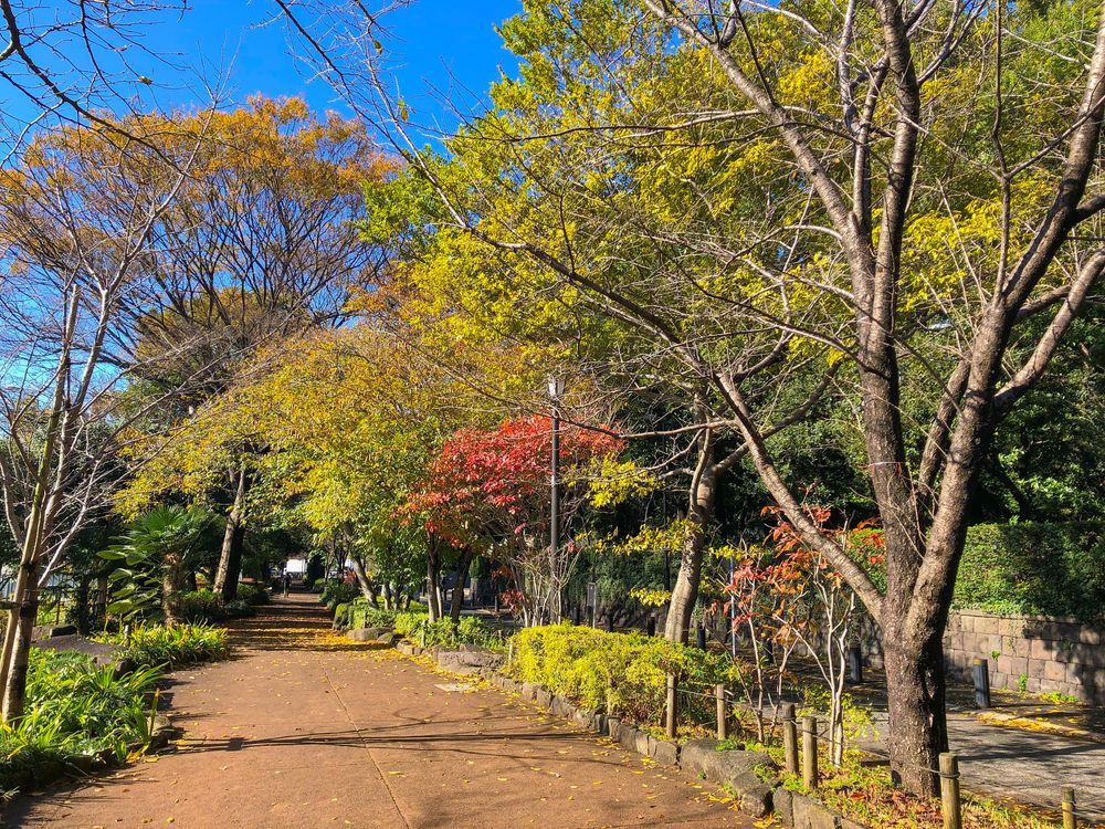 千鳥ヶ淵の画像 - 5枚目