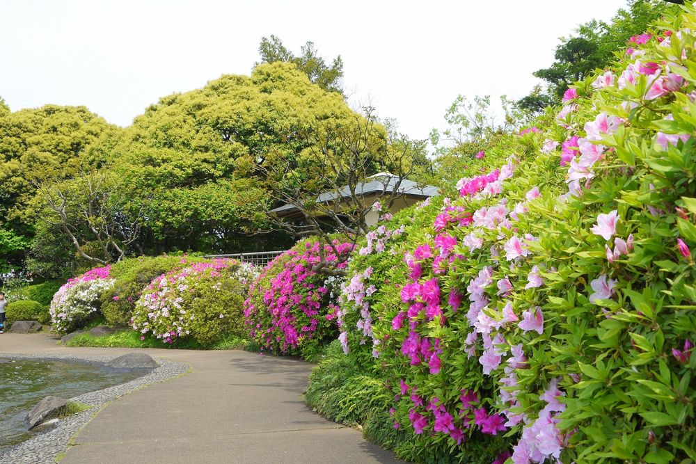 行船公園の画像 - 2枚目