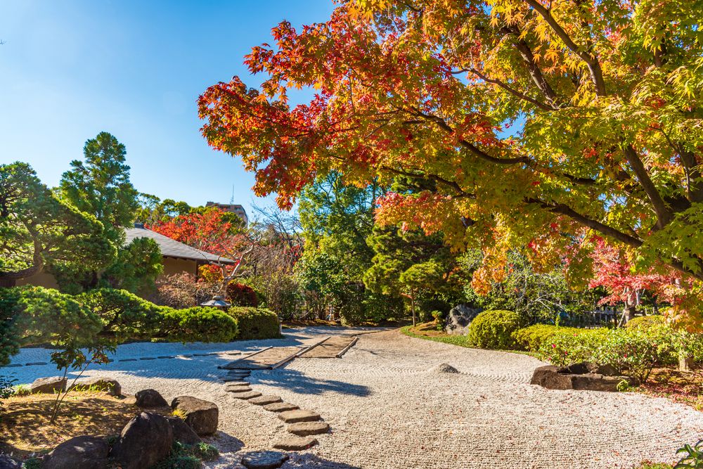 行船公園の画像 - 5枚目