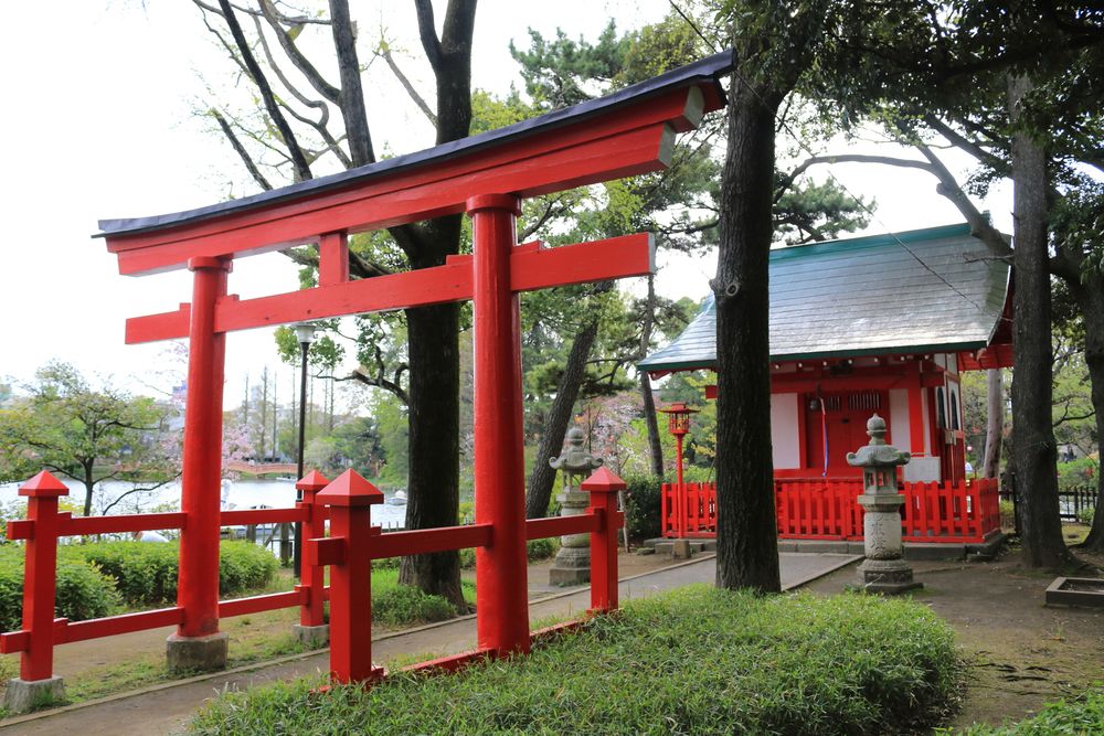 洗足池公園の画像 - 2枚目