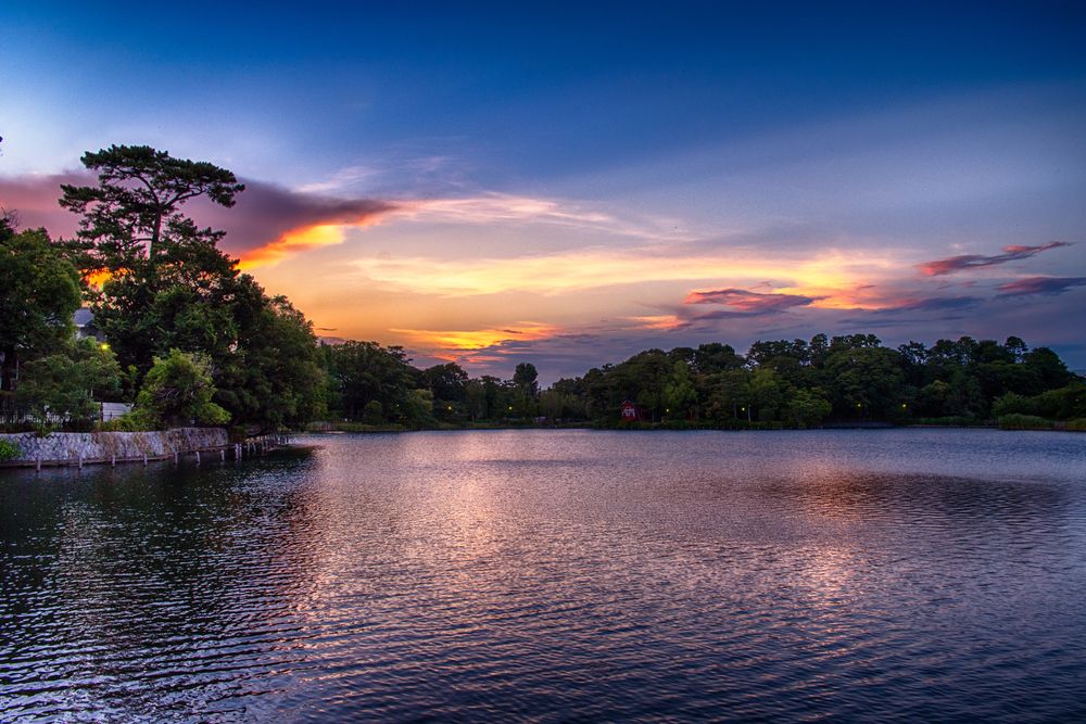 洗足池公園の画像 - 3枚目