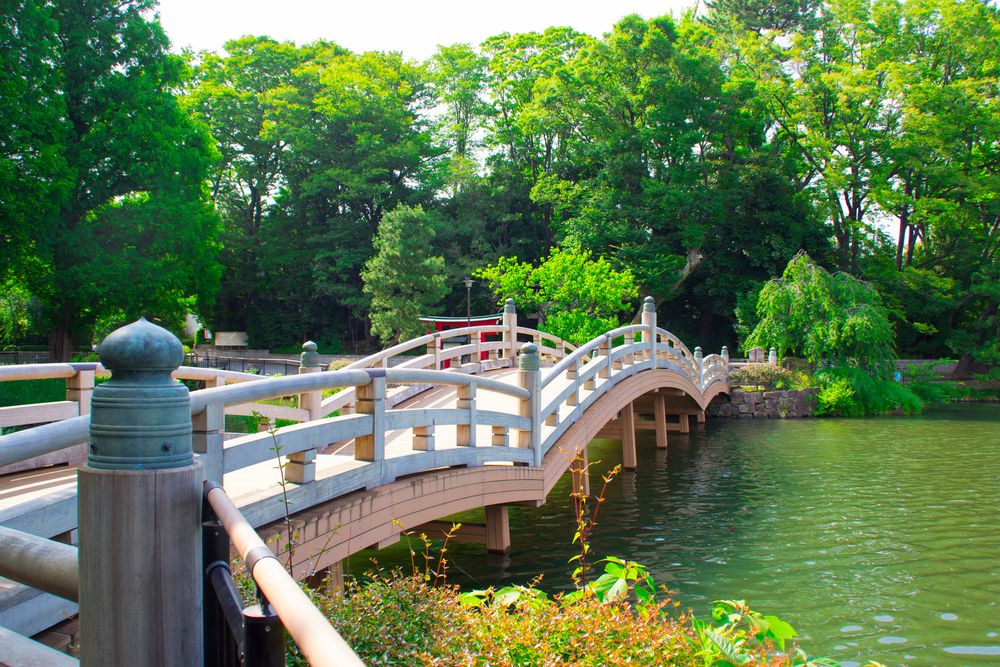 洗足池公園の画像 - 4枚目