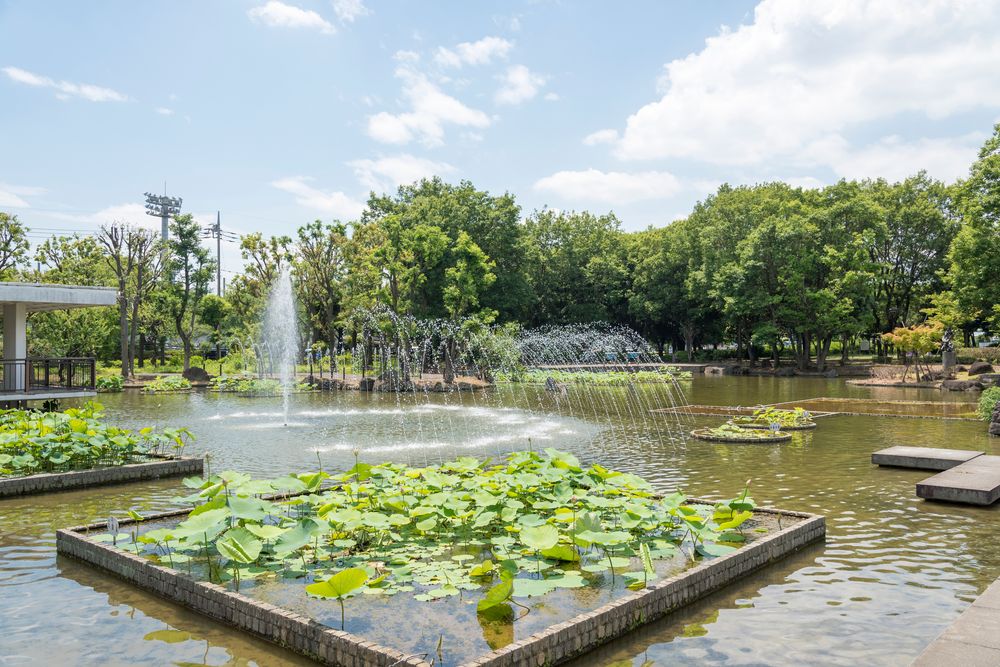 郷土の森公園 修景池の画像 - 3枚目