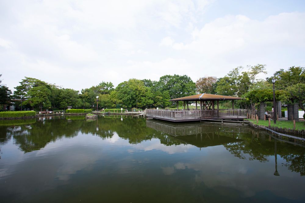 荒川自然公園の画像 - 4枚目