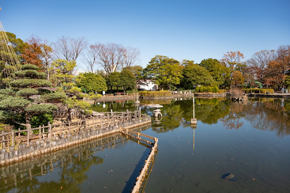 荒川自然公園の画像 - 5枚目