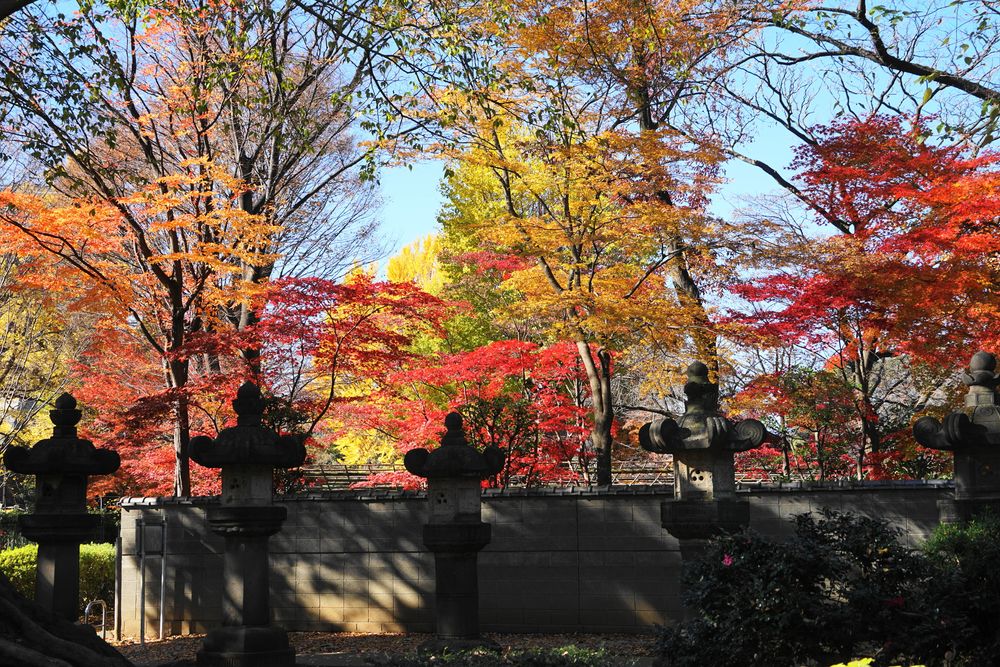 上野東照宮の画像 - 5枚目
