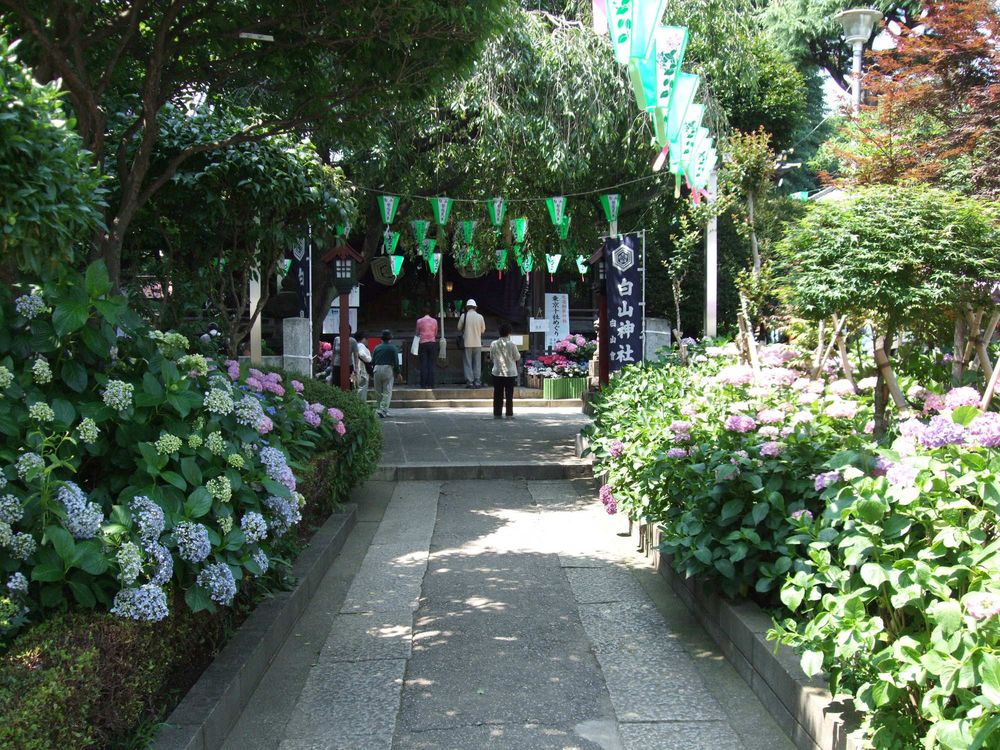 白山神社の画像 - 2枚目