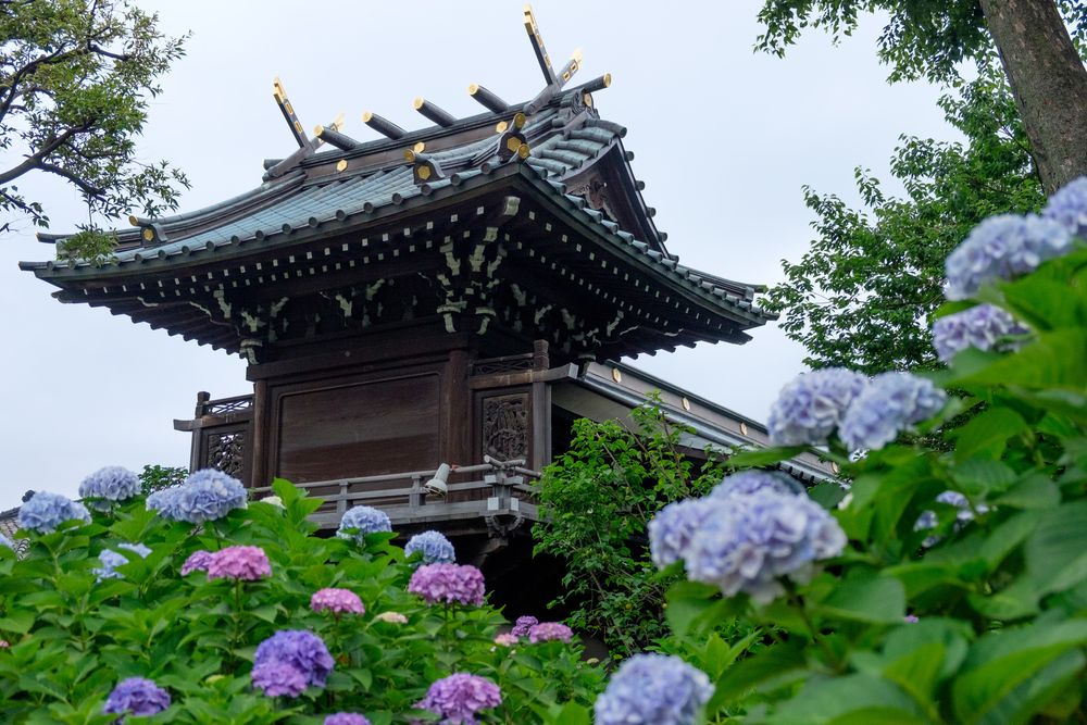 白山神社の画像 - 3枚目