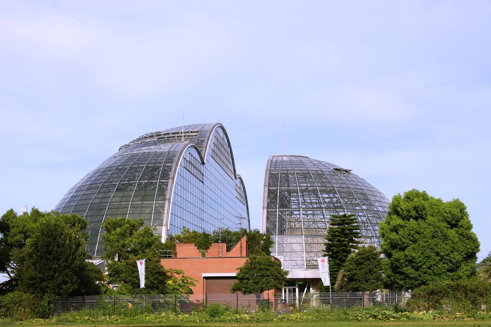 夢の島公園の画像 - 4枚目