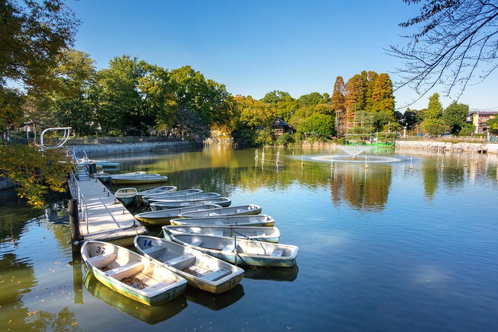 区立碑文谷公園の画像 - 3枚目