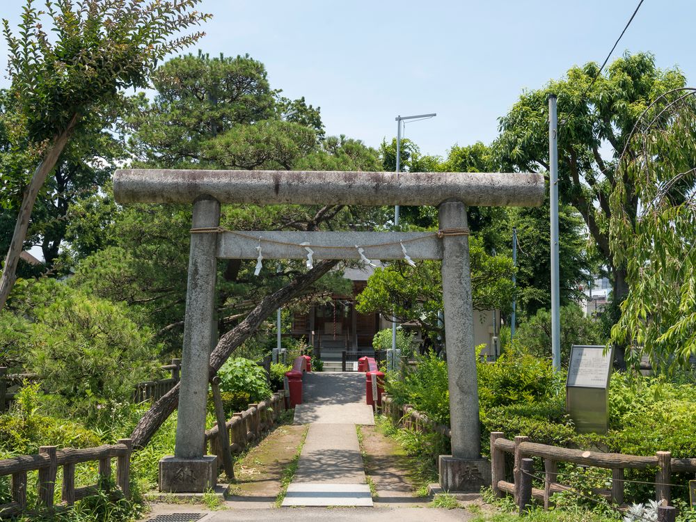 区立碑文谷公園の画像 - 5枚目