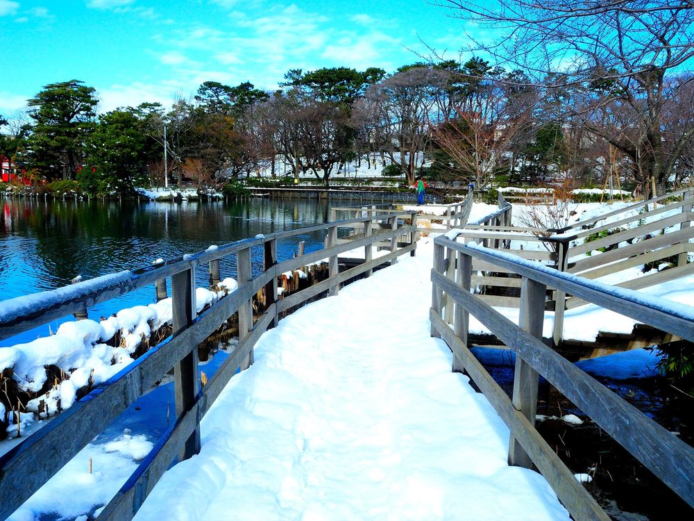 洗足池の画像 - 2枚目