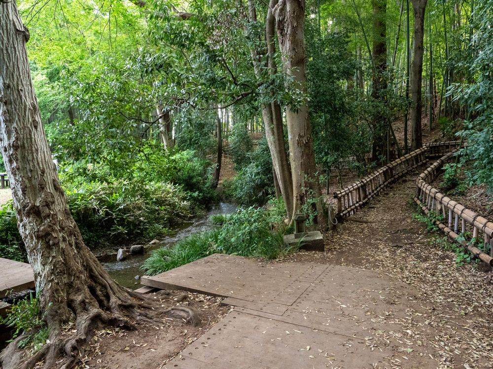 東久留米市 竹林公園の画像 - 2枚目
