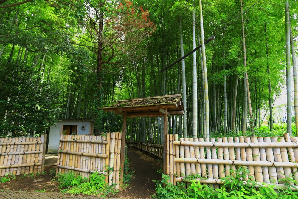 東久留米市 竹林公園の画像 - 3枚目