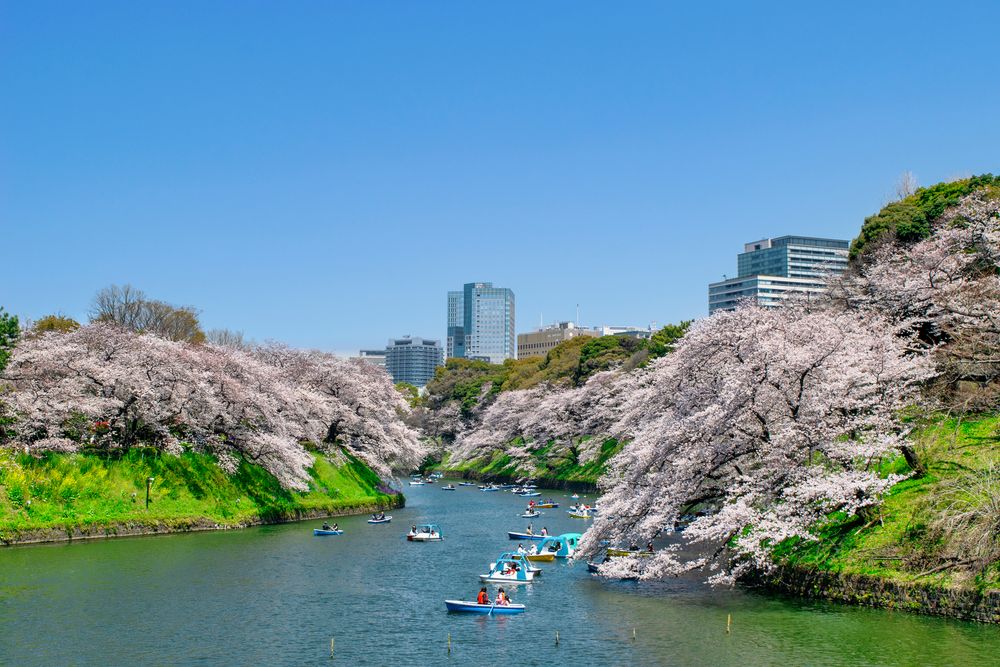 千鳥ヶ淵緑道の画像 - 4枚目