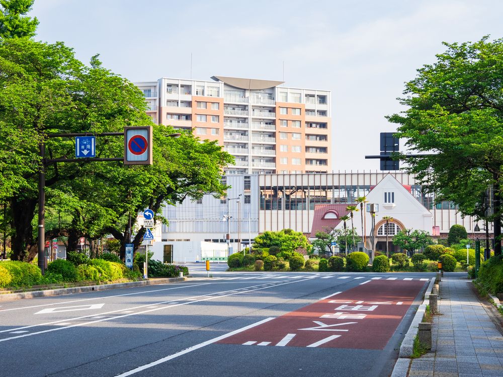 大学通りの画像 - 3枚目
