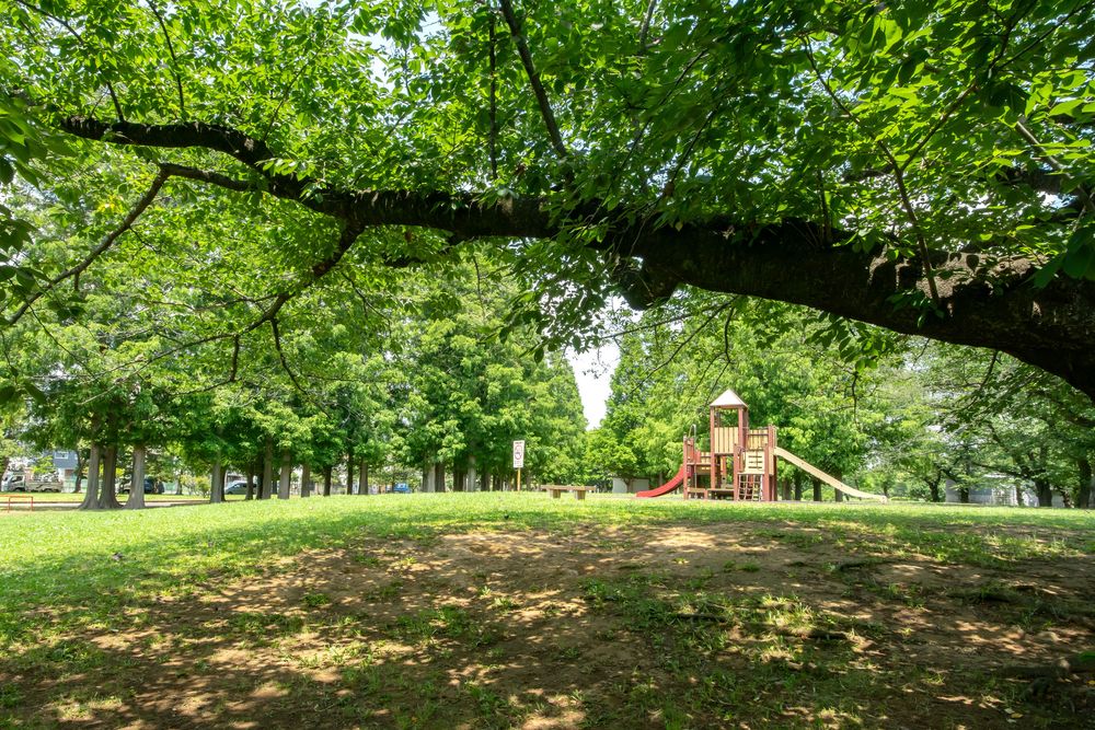 篠崎公園の画像 - 3枚目