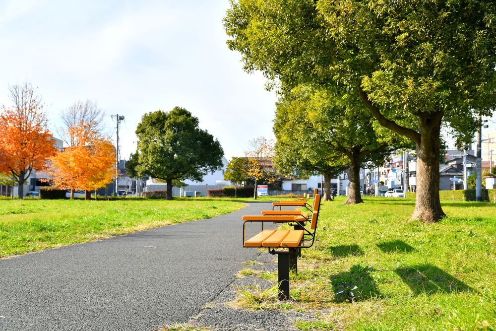 篠崎公園の画像 - 4枚目