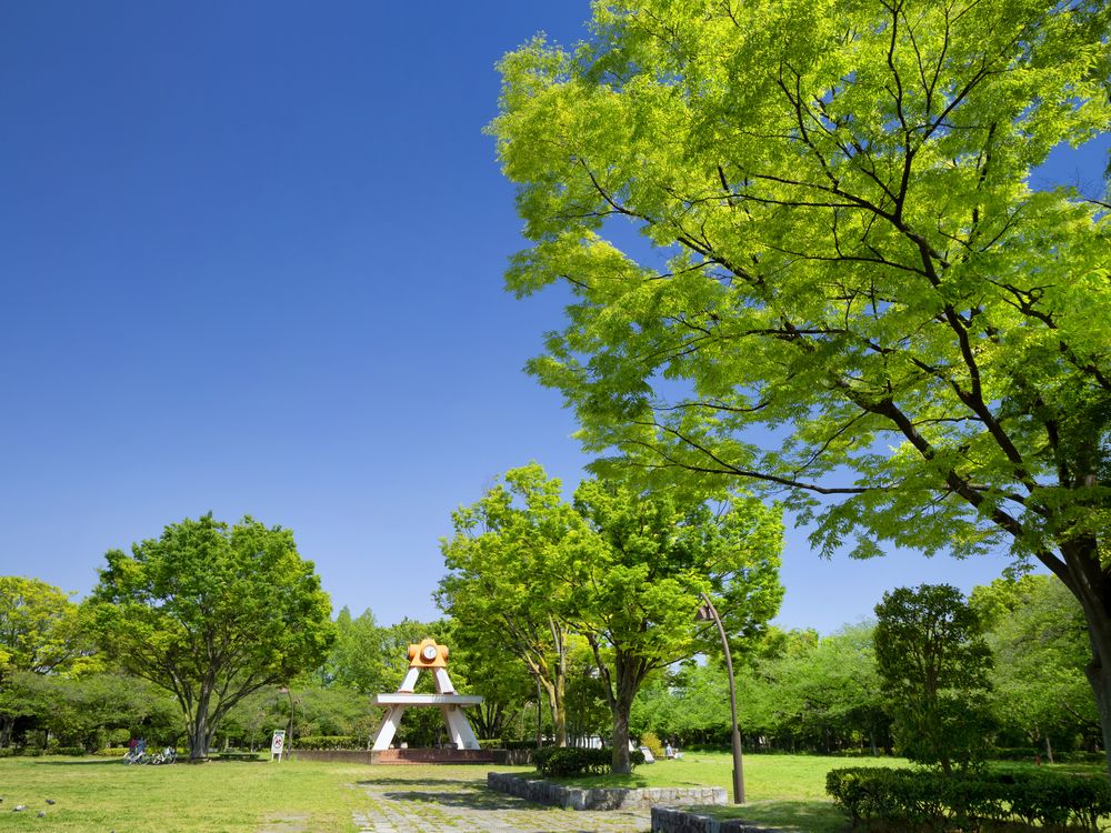 亀戸中央公園の画像 - 4枚目