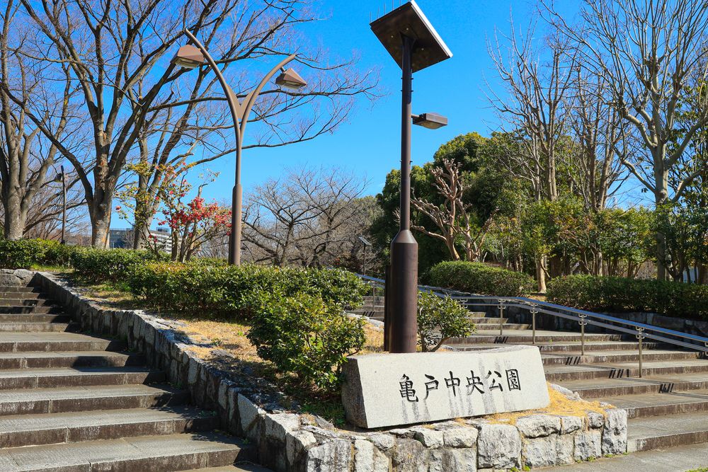 亀戸中央公園の画像 - 5枚目
