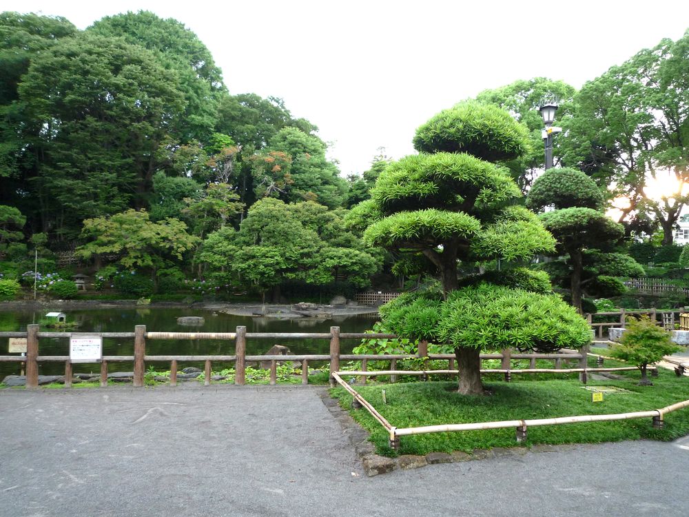 戸越公園の画像 - 4枚目