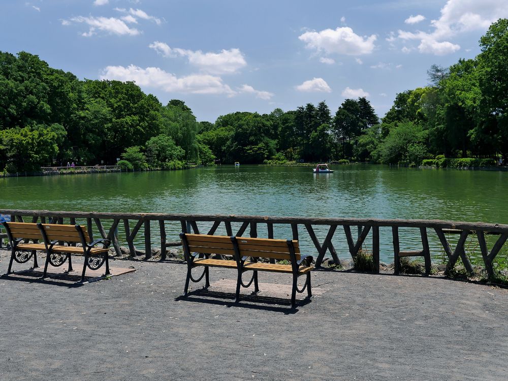 善福寺公園の画像 - 6枚目