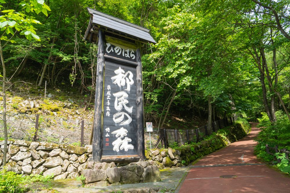 檜原都民の森の画像 - 4枚目