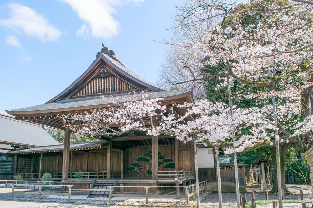 靖國の桜の画像 - 4枚目