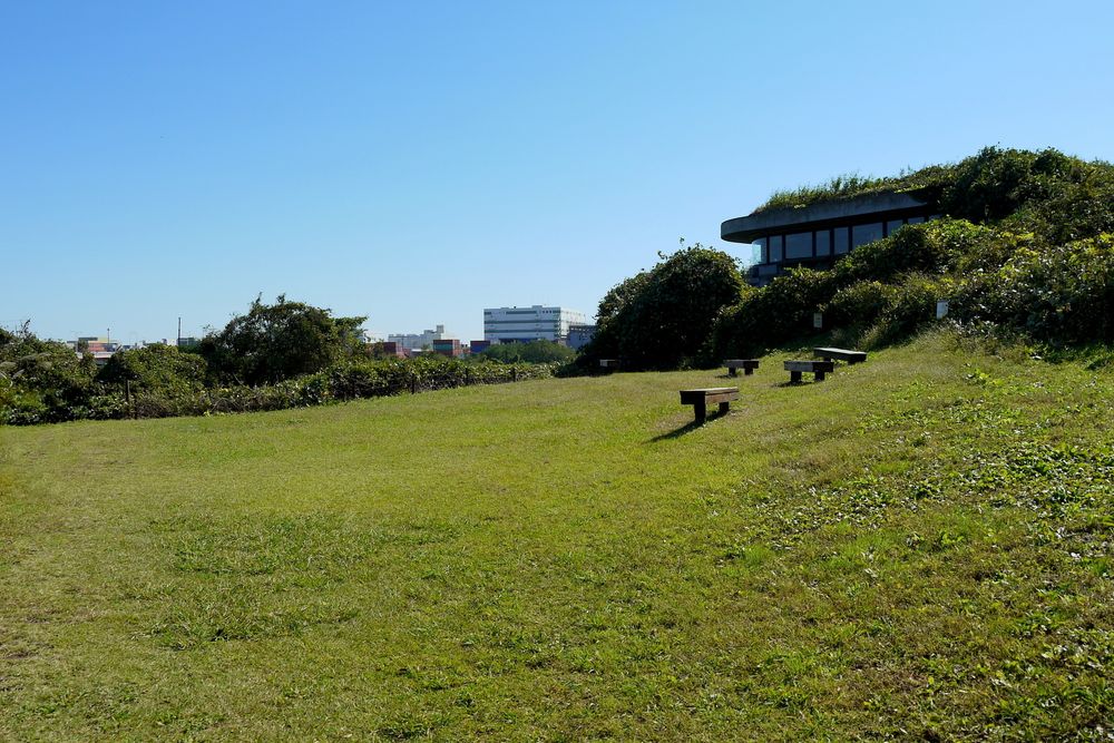 東京港野鳥公園の画像 - 2枚目