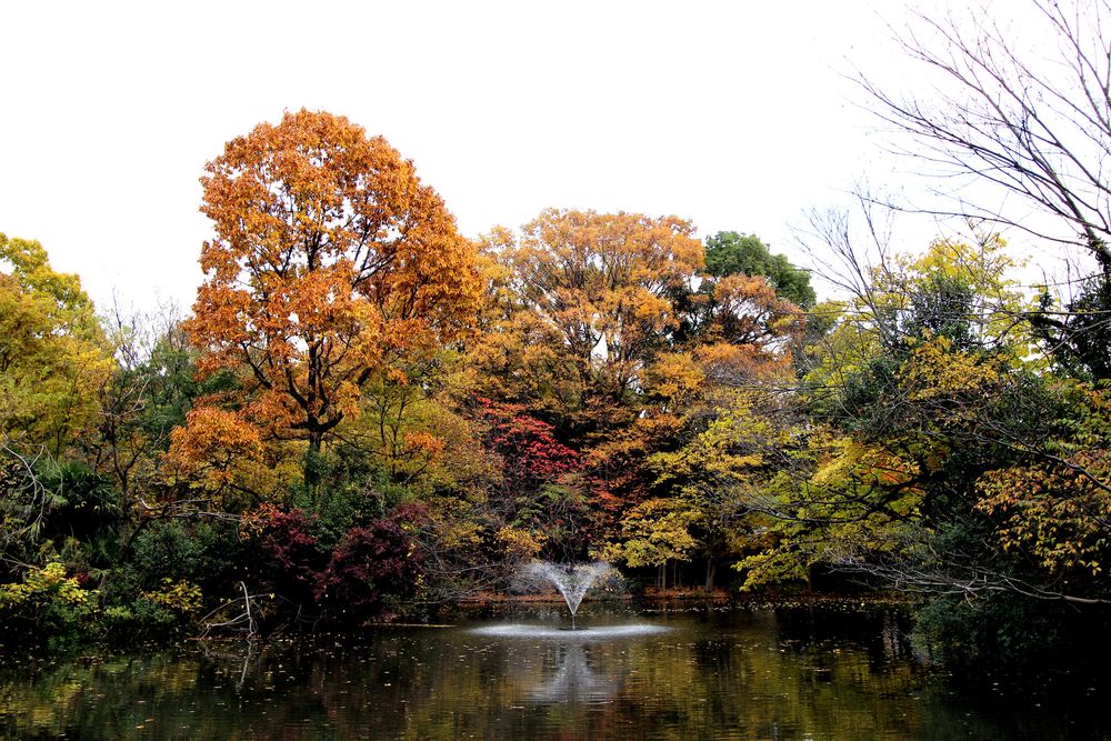 東京都立 和田堀公園の画像 - 2枚目