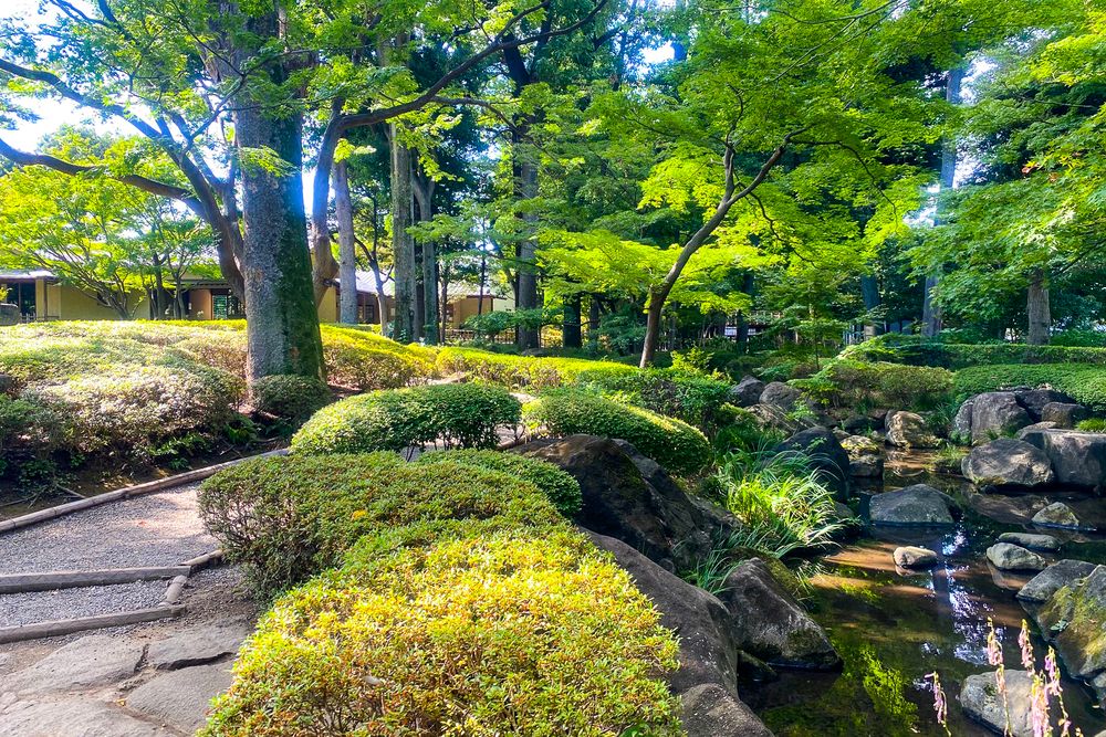 東京都立 和田堀公園の画像 - 4枚目