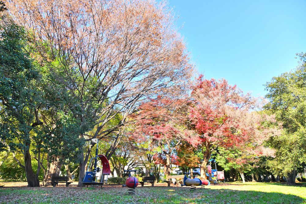 東京都立 和田堀公園の画像 - 5枚目