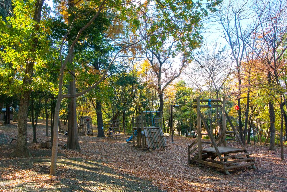 林試の森公園の画像 - 3枚目